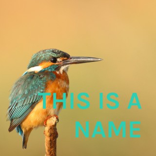 THIS IS A NAME