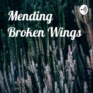 Mending Broken Wings