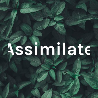 Assimilate