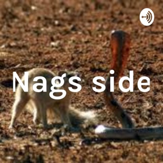 Nags side