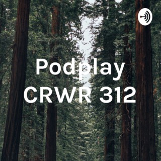 Podplay CRWR 312