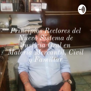Principios Rectores del Nuevo Sistema de Justicia Oral en Materia Mercantil, Civil y Familiar