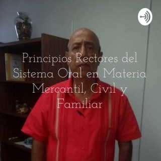 Principios Rectores del Sistema Oral en Materia Mercantil, Civil y Familiar