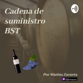Cadena de suministro de Bodegas de Santo Tomas
