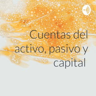 Cuentas del activo, pasivo y capital