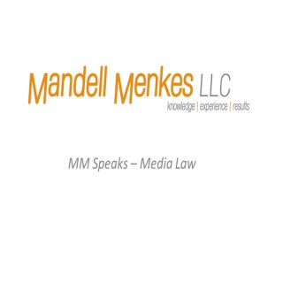 Mandell Menkes Speaks - Media Law