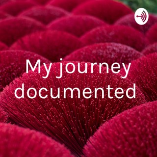 My journey documented