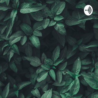 #IkutanPodcast
