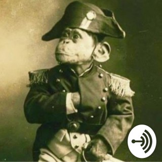 Gear Gorilla