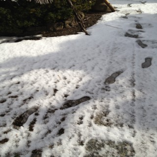 ?Podcast?????????????????????