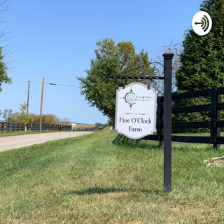 Five O’Clock Farm