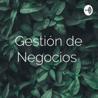 Gestión de Negocios
