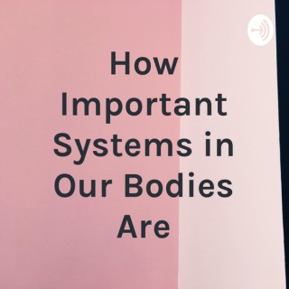 How Important Systems in Our Bodies Are