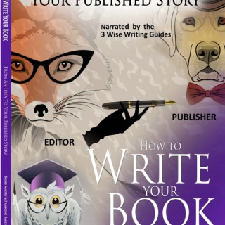HOW TO WRITE YOUR BOOK interview with Author  F Barish-Stern