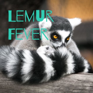 Lemur Fever