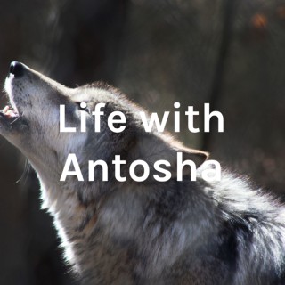 Life with Antosha