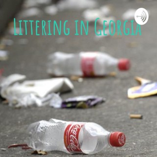 Littering in Georgia