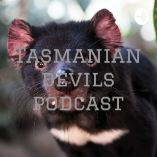 Tasmanian devils podcast