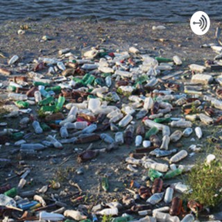 Water pollution Austin bloom