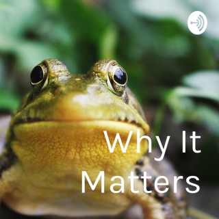 Why It Matters