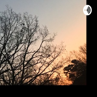 3nlightenUp