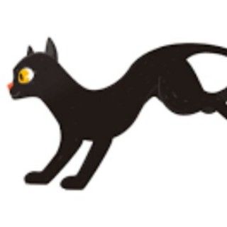 X-cat