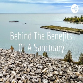 Behind The Benefits Of A Sanctuary