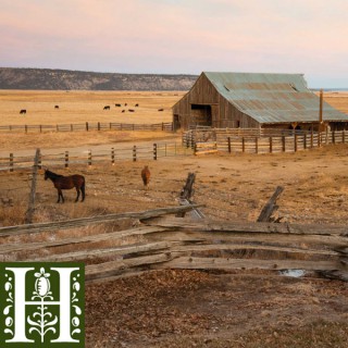 California Ranches: Lands in Transition