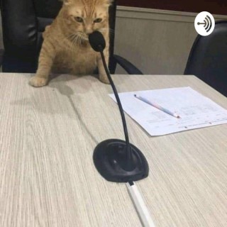 Flow Podcat