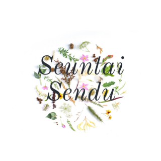 Seuntai Sendu