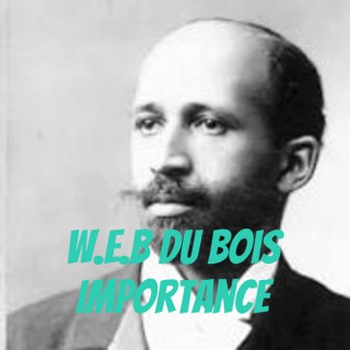 W.E.B Du Bois Importance