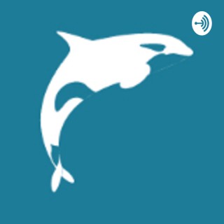 Whale TV Radio