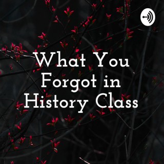 What You Forgot in History Class