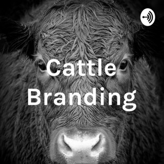 Cattle Branding