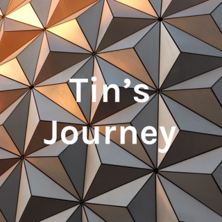 Tin's Journey