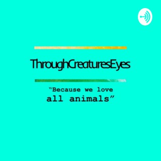Through Creatures Eyes