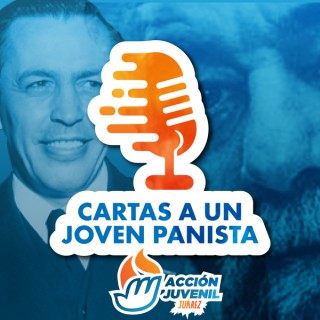 Cartas a un joven panista