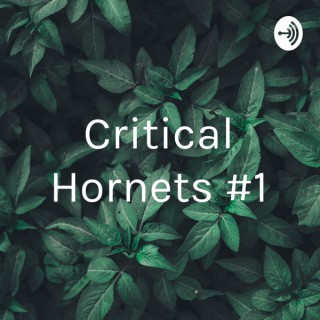 Critical Hornets #1