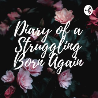 Diary of a Struggling Born Again
