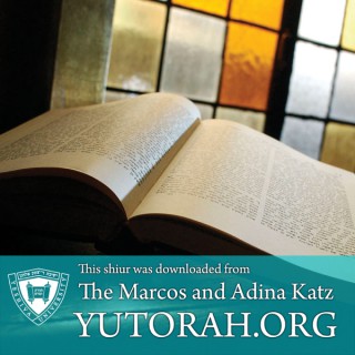 YUTORAH: R' Matis Shulman -- Recent Shiurim