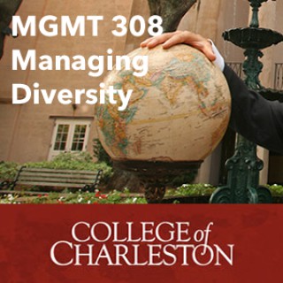 MGMT 308 Managing Diversity