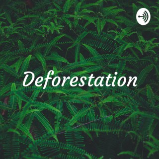 Deforestation: The Death of Mankind