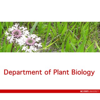 Department of Plant Biology
