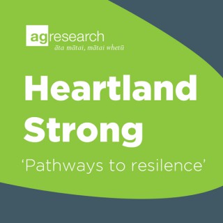 Heartland Strong - Pathways to resilience