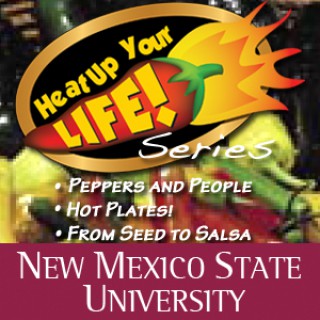 Heat Up Your Life Series