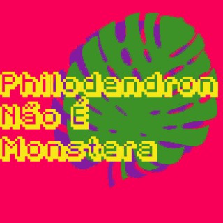 Philodendron Não É Monstera