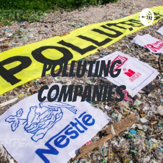 Polluting Companies