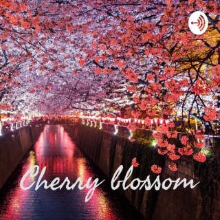Cherry blossom
