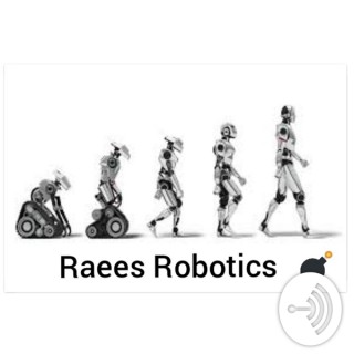 Mohammed Raees