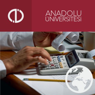 Muhasebe Uygulamaları